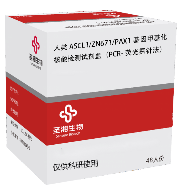 Cmp(冠军)官网 - 西甲希洪竞技主赞助商