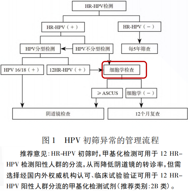 Cmp(冠军)官网 - 西甲希洪竞技主赞助商